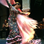 Real flamenco at the school